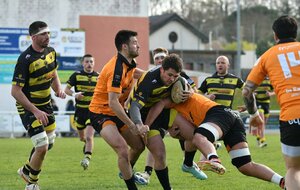 CARTON PLEIN POUR L'US NERAC