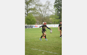 6803f4df259b1_DSC0009sharpen.jpg
