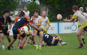 681fbd0366190_DSC9315.JPG