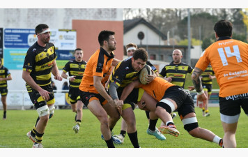 CARTON PLEIN POUR L'US NERAC