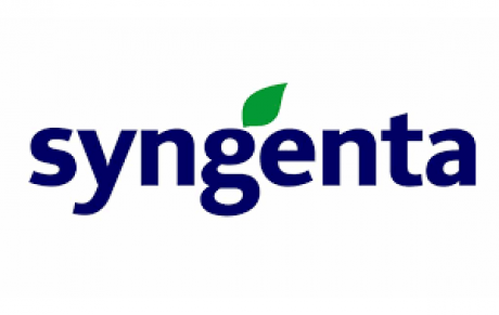 - SYNGENTA -
