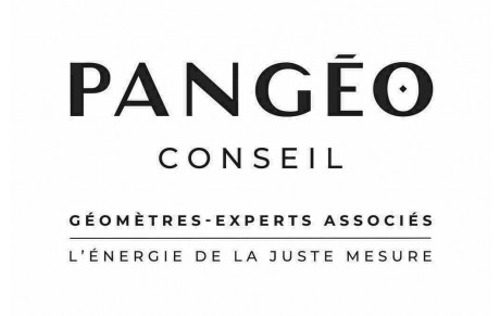 - PANGEO CONSEIL -
