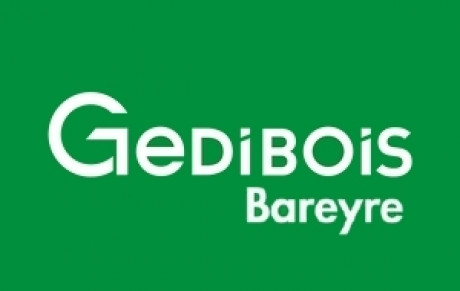 GEDIBOIS BAREYRE