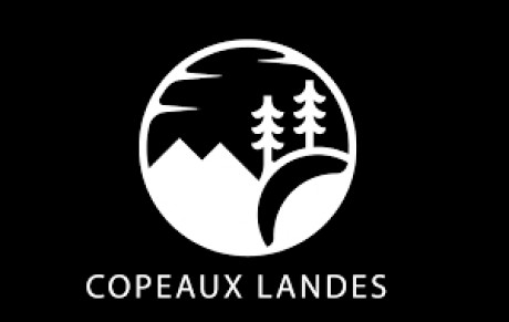 - COPEAUX LANDES -