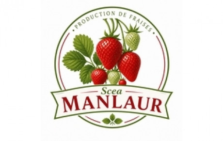 - SCEA DE MANLAUR -